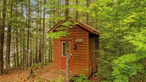 Una pequeña cabaña de madera rodeada de un bosque denso.