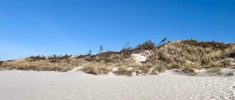 House | Beach