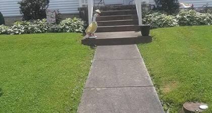 Lovely 2-bedroom house with AC in adorable Maysville