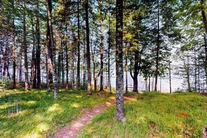 Property grounds - Serene Lakefront Home w/ dock, gas grill, fire pit, WIFI, on ATV trail (Eagle River)