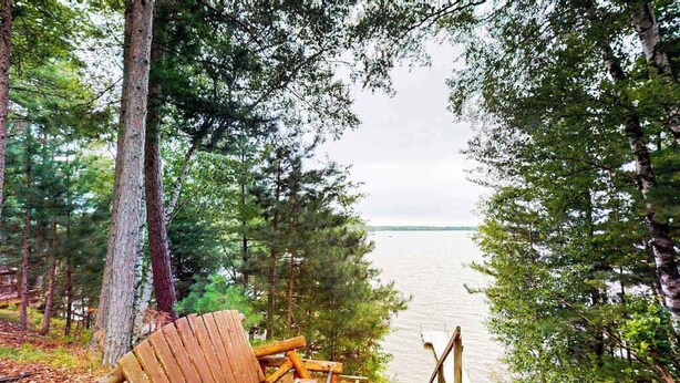 Een houten bankje met uitzicht op een meer, omringd door bomen.