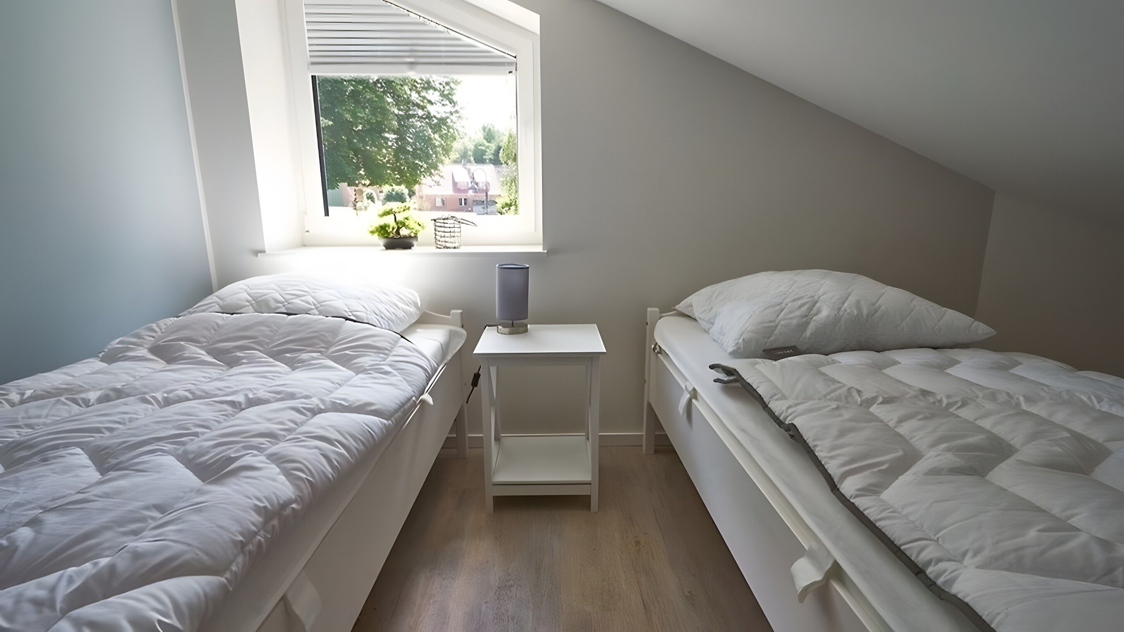WiFi, bed sheets