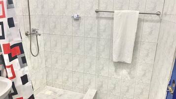 Shower, towels, soap, toilet paper