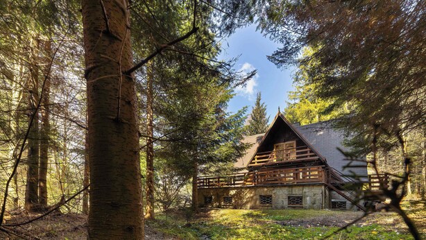 Ein rustikales Blockhaus, umgeben von dichtem Wald, mit einer Holzdiele und Steinmauern.