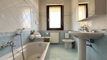 Shower, hair dryer, bidet, towels
