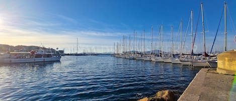 Marina