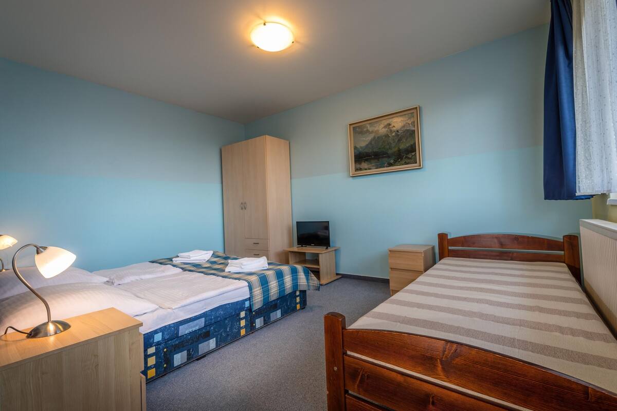 Un dormitorio con dos camas, un armario, un televisor y un cuadro en la pared.