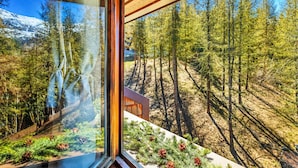 Blick aus dem Fenster auf eine bewaldete Landschaft, in der Ferne eine Holzhütte zu sehen ist.