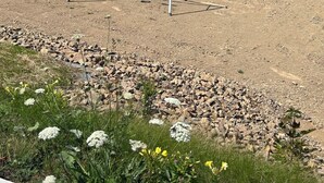 A playground with swings and a dirt path leading to a body of water.