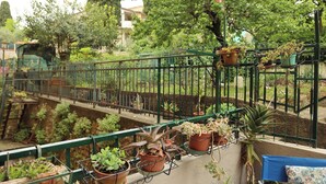 Een balkon met potplanten, een metalen hekwerk en uitzicht op een tuin en gebouwen.