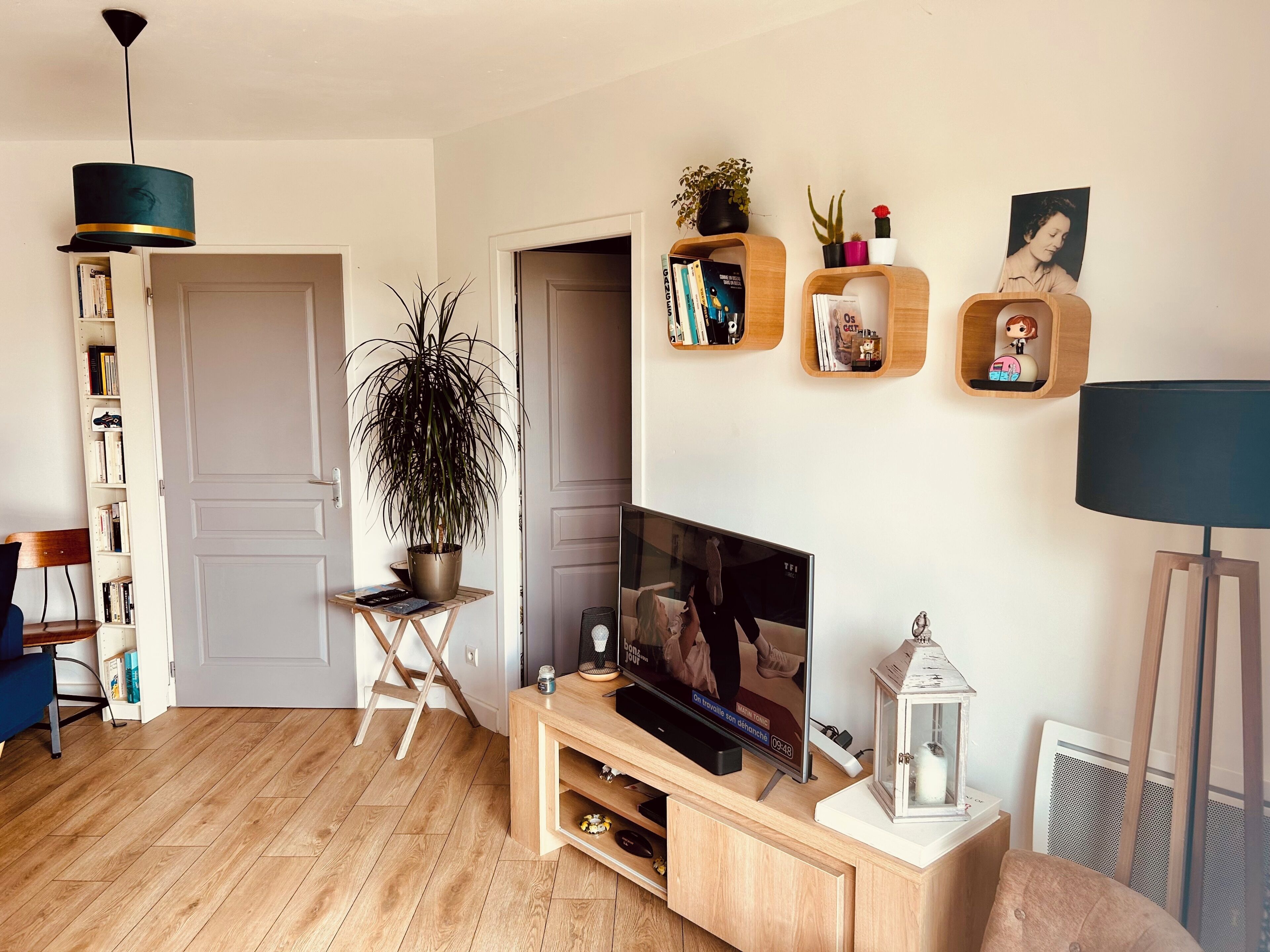 A living room with a TV, wooden shelves, a potted plant, and a bookshelf.