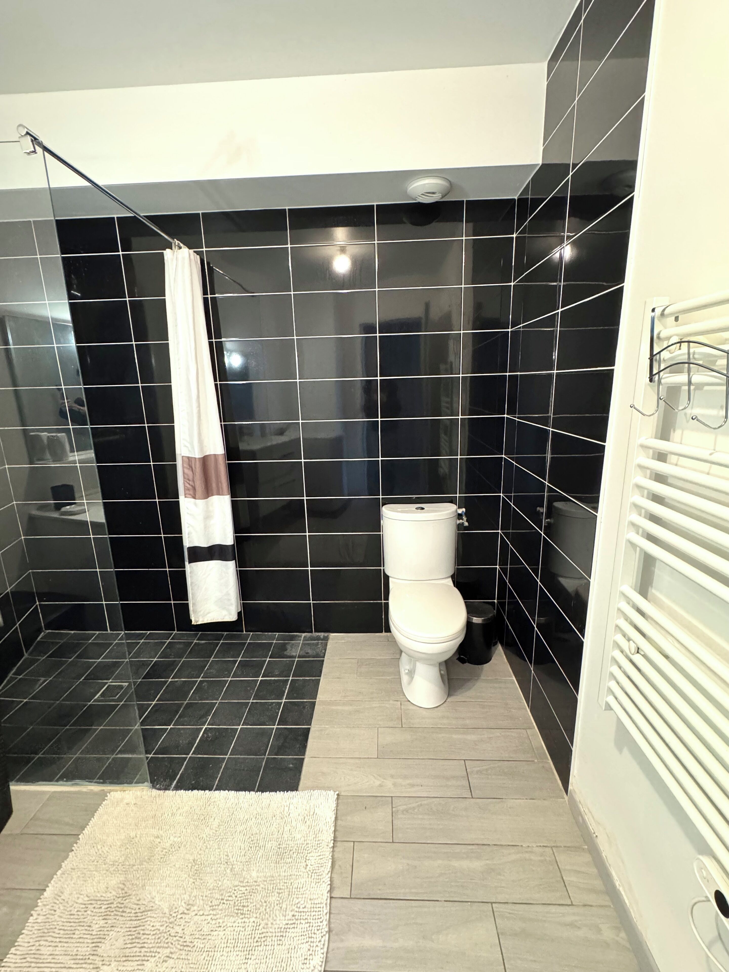 Shower, toilet paper