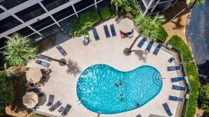 Vista aérea de una piscina con sillas de descanso y palmeras.