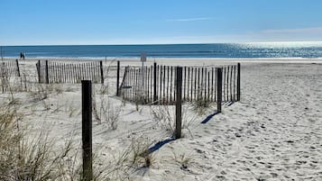 On the beach