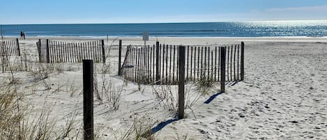 On the beach