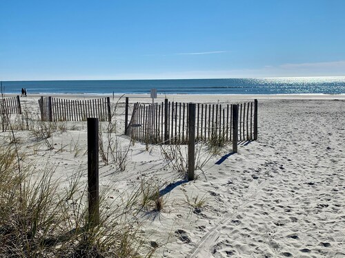 Fresh Coastal Retreat with Ocean Views | Bikes Incl.