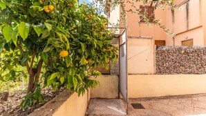 Une cour intérieure avec un citronnier, une porte en métal et un mur en pierre.