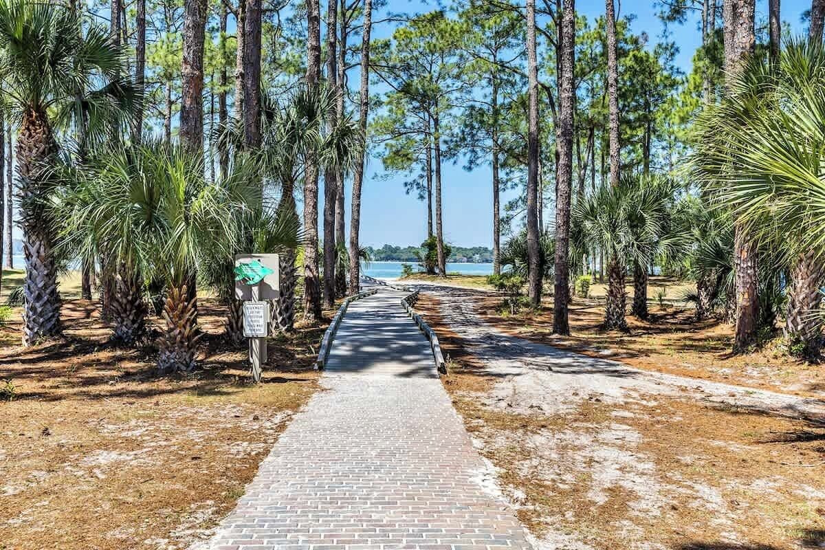 A scenic boardwalk winds through towering pines and palms, leading toward tranquil waterfront views in this naturally beautiful coastal setting.