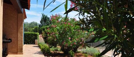 Outdoor