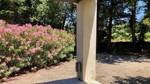 Property grounds - CLOS DES CHENES by Interhome (Carces)