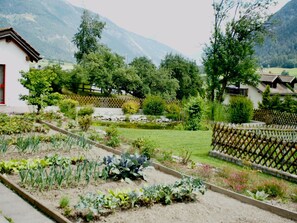 A garden with a variety of plants and a small pond, surrounded by a wooden fence and a mountain backdrop.