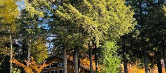 Blue Moon Retreat