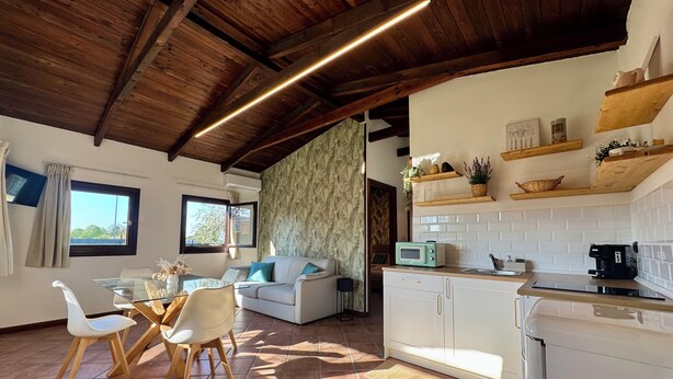 Een ruime woonkamer met een eettafel, stoelen, een bank en een keuken met een magnetron, broodrooster en planken.