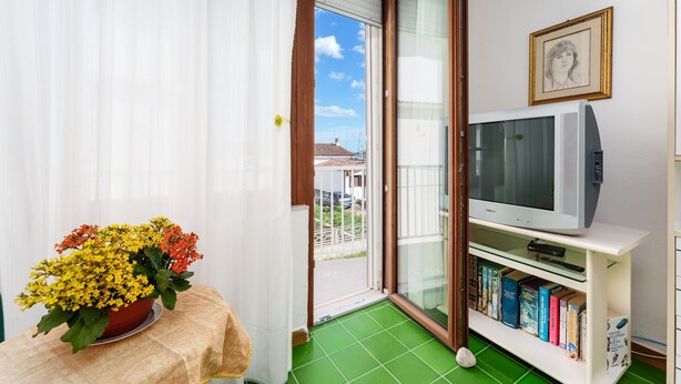 Un balcon avec une porte-fenêtre coulissante, un téléviseur posé sur un meuble, une bibliothèque remplie de livres et un arrangement floral sur une table.