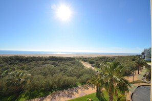 Eine Küstenlandschaft mit blauem Himmel, Strand und dichter Vegetation.