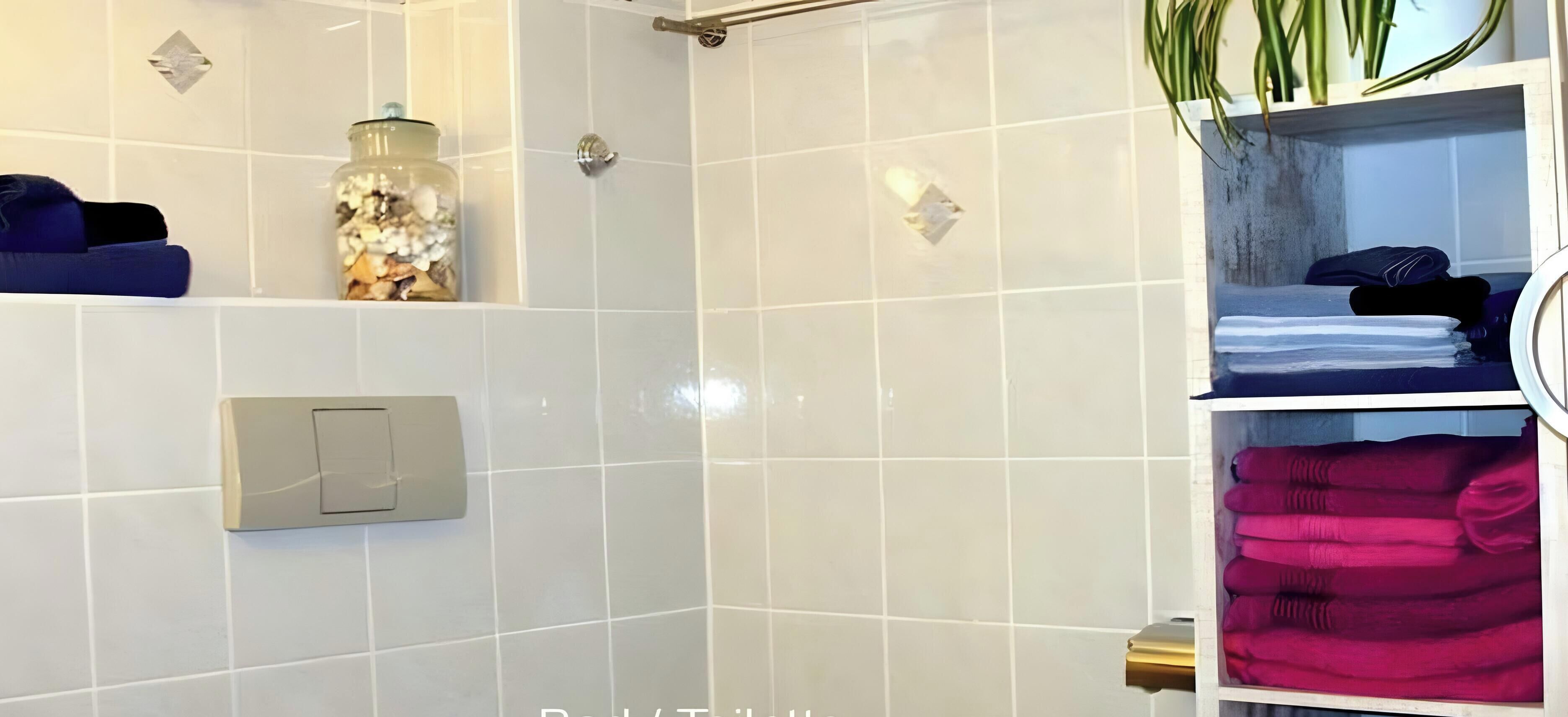 Chuveiro, secador de cabelo, toalhas de banho 