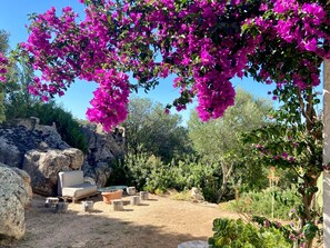 Un giardino con un’area salotto esterna in legno chiaro, una formazione rocciosa e diverse piante.