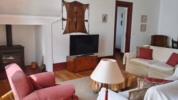 Una televisión, una chimenea