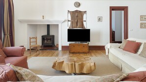 Un salon avec une cheminée, un téléviseur, un canap é et une table basse.