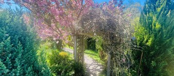 Garden Cabin at Shengan
