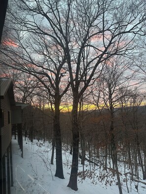 A house with a snow-covered yard and leafless trees.