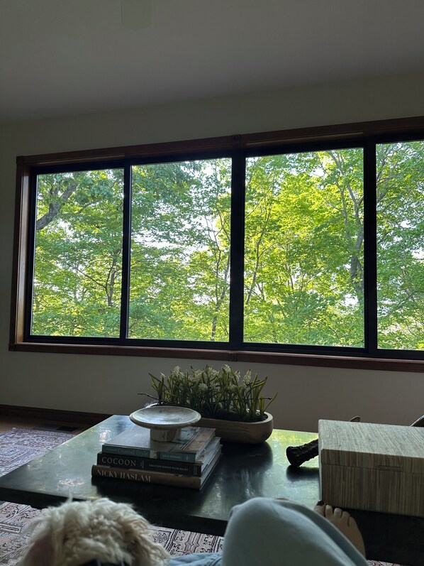 A room with a large window, a coffee table with books, a plant, and a wooden box.