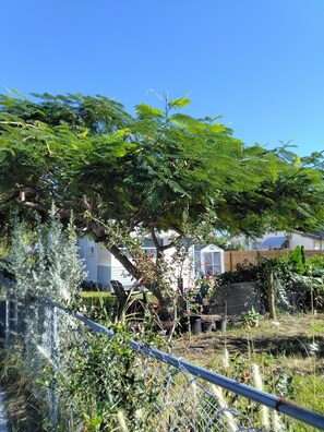 A residential area with a house, a fence, and various plants. - 2/1  St Pete 🏠-3 mi to Beach 1 mile to Downtown. New listing discounts (St. Petersburg)