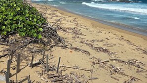 Una playa con restos dispersos, una valla de madera y una vista despejada del océano.
