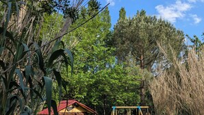Una casita de juegos de madera con techo rojo, un columpio y un patio cubierto de césped rodeado de árboles.