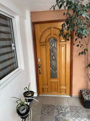 A wooden door with a glass panel, a window with blinds, and potted plants.