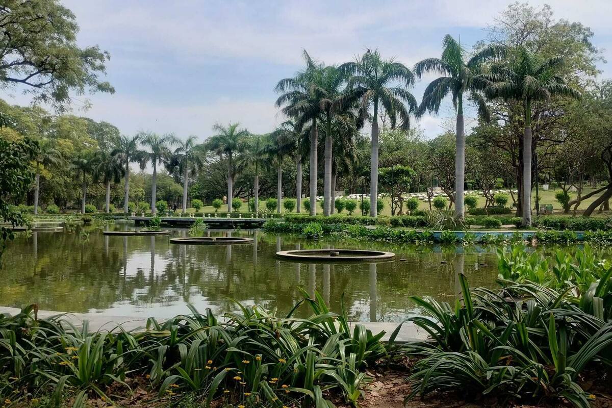 A serene park with water features, palm trees, and lush greenery.