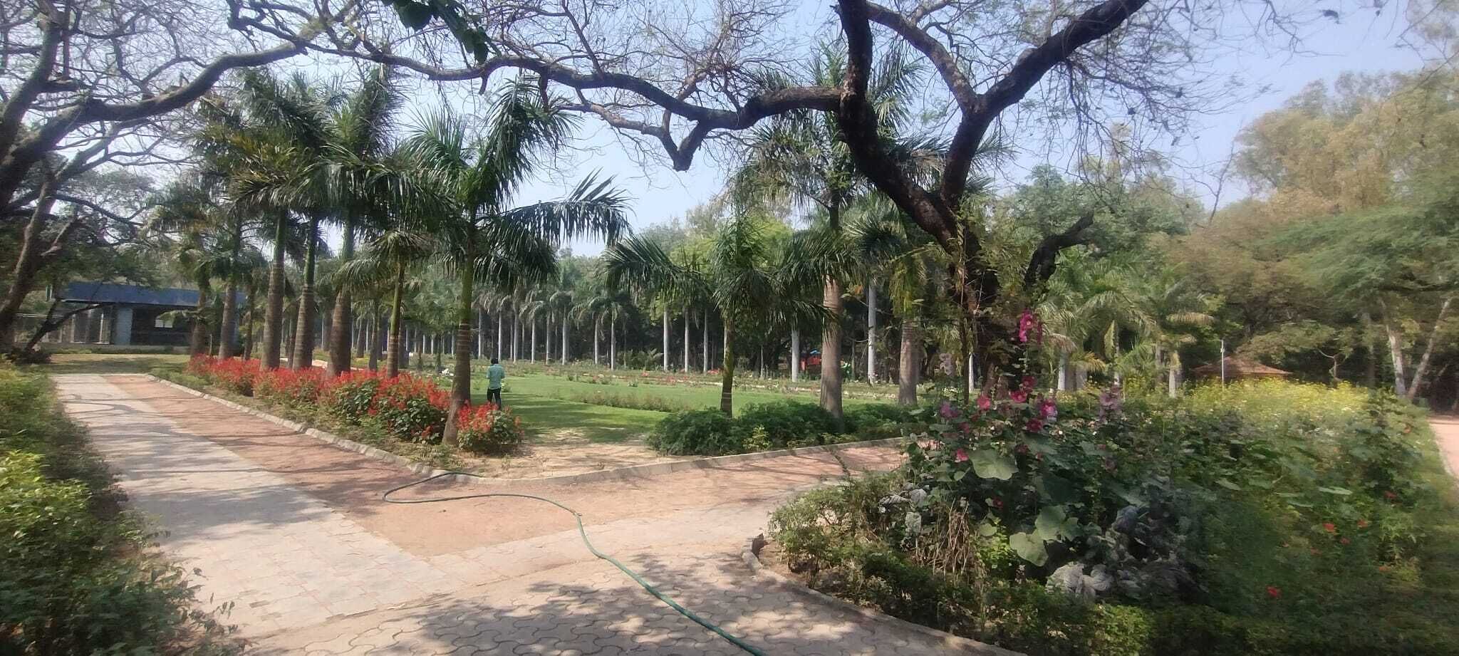 Ein von Palmen gesäumter Weg und ein Garten mit roten Blüten.