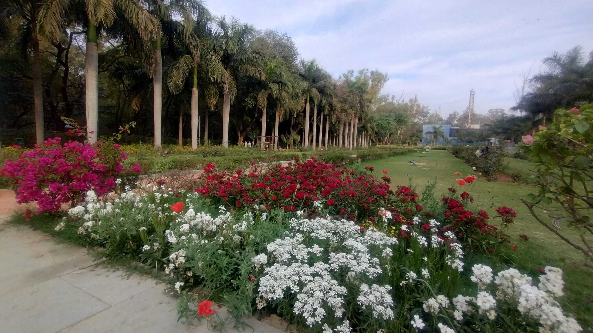 Garden view