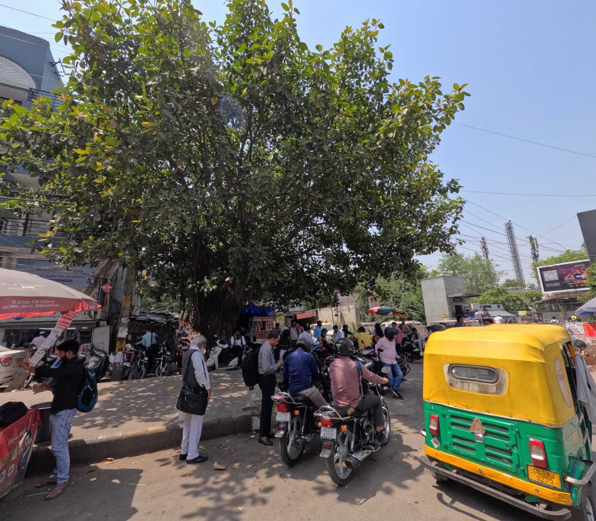 A busy street scene with people, motorcycles, and an auto-rickshaw.