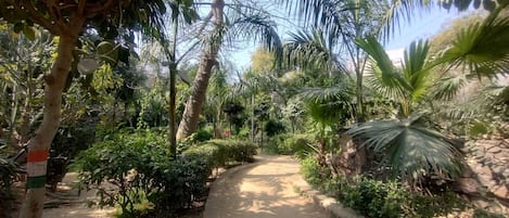 Jardin