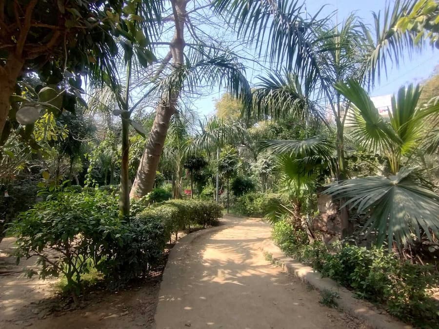 Jardín