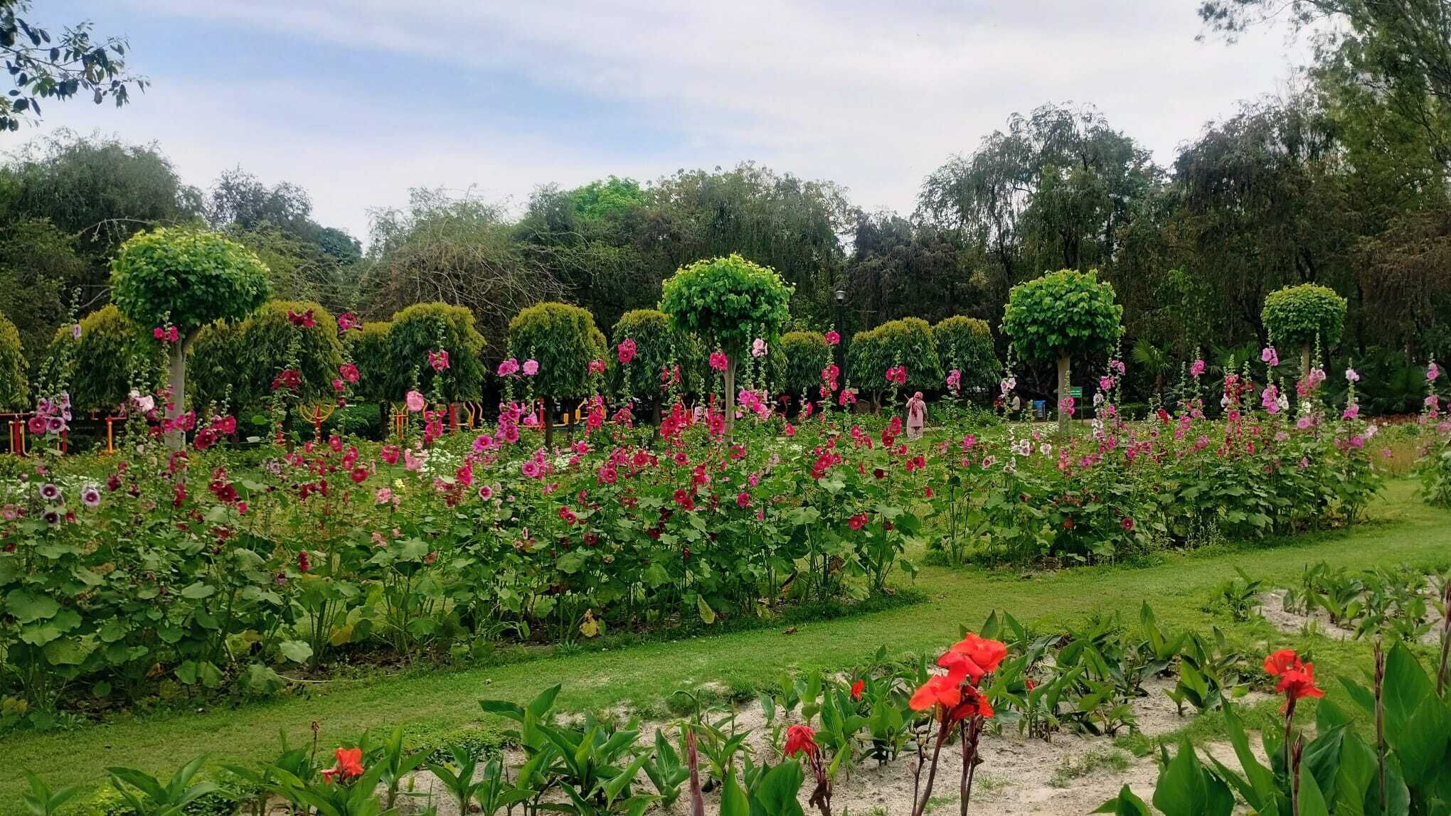 Garden view