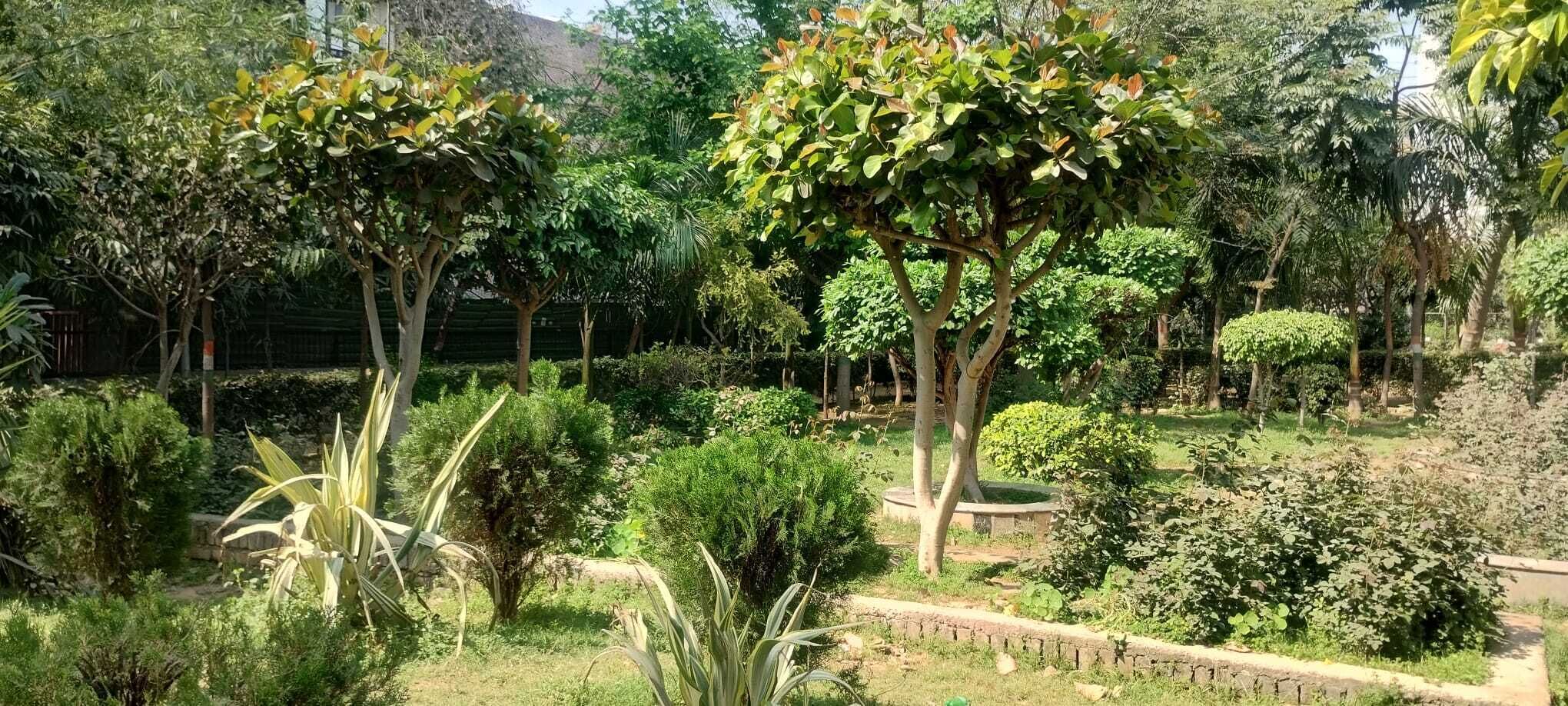 花園