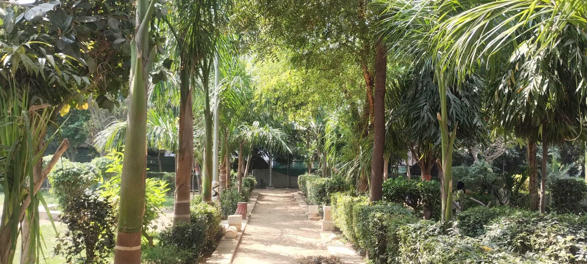 Taman