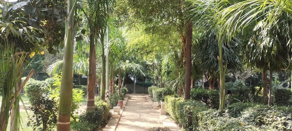 Jardín